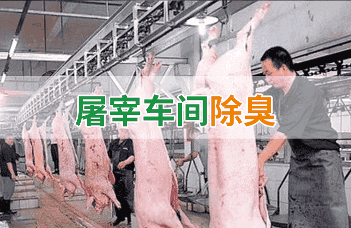 屠宰場臭氣影響周邊環境？解決辦法在這里-1