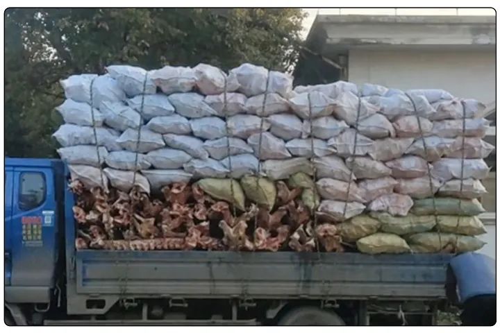 動物骨回收“變廢為寶”，堆放、加工異味難題，如何使用除臭劑解決？