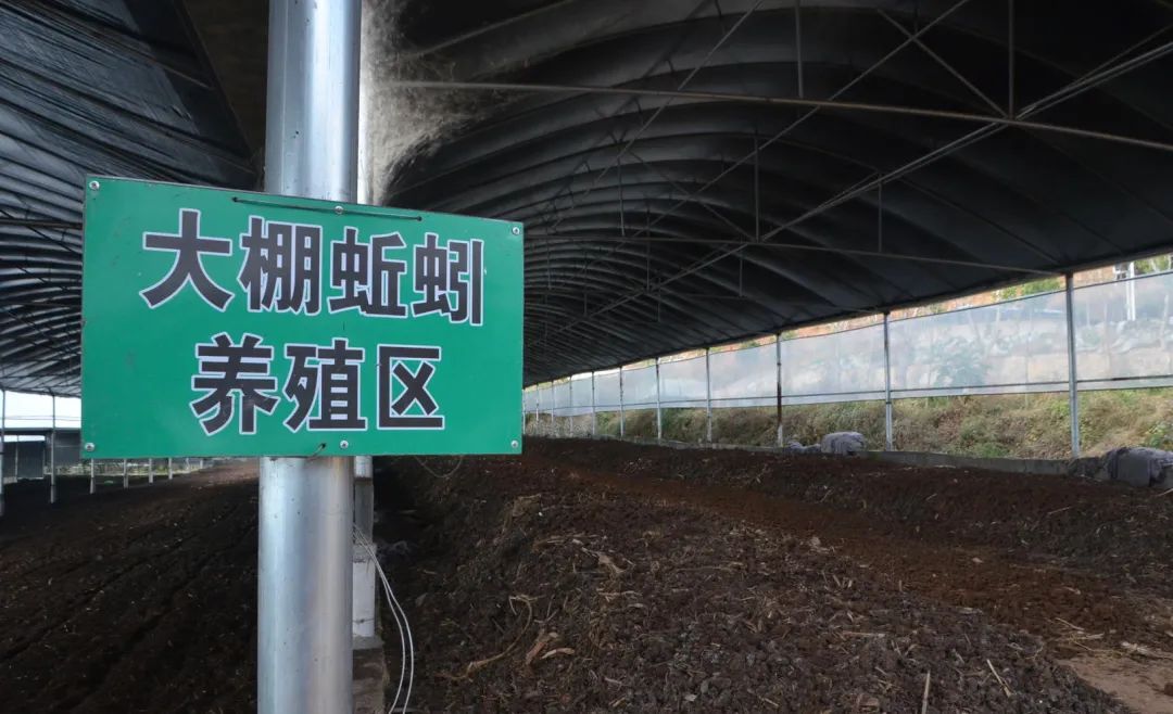 潔匠凈化·的凈工業除臭劑_的凈工業除臭劑高效治理蚯蚓養殖惡臭異味大、牛糞味濃