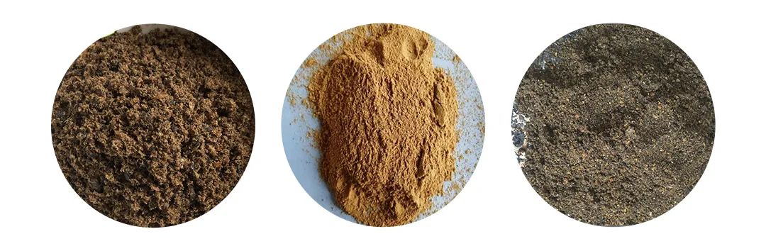 羽毛粉加工腥味、苦味、惡臭味混雜，看<a href='/' style='color: blue;' target='_blank'>工業除臭劑</a>如何快速除臭！.jpg